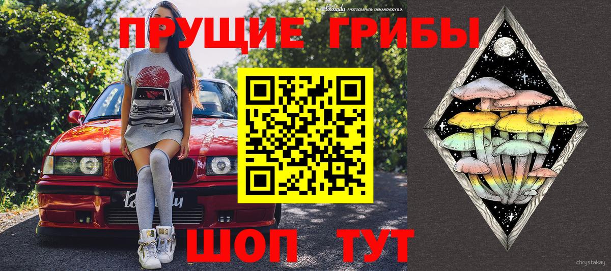 Псилоцибиновые грибы GOLDEN TEACHER Новомосковск